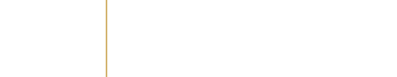 Sa Hedge Fund logo White